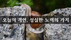 오늘의 격언, 성실한 노력의 가치