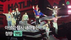 청량도 너무 찰떡인 앤팀