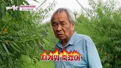 구시렁거려도 남편은 일편단심 아내뿐🩷 환장의 궁합 복숭아 부부 TV CHOSUN 260920 방송