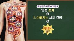 노화와 염증의 주범! 활성산소를 늘리는 혈관 질환 | JTBC 260524 방송