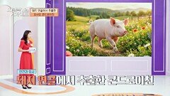 섭취 후 생긴 변화 인간의 연골과 가장 닮은 포사인 콘드로이친 | JTBC 260531 방송