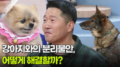 강아지와의 분리불안, 어떻게 해결할까? 강형욱 훈련사의 고민 상담 | KBS 260323 방송