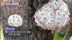 [전국 마을 자랑] 주민들이 힘을 모아 일으킨 마을! - 전북특별자치도 부안군 석동마을 | KBS 260918 방송