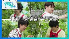 ＂장모님~ 여기서 한 번 골라주세요＂포도밭 사장님의 사윗감 1위로 뽑힌 박서진 | KBS 260725 방송
