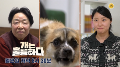 [242회] 한 번 물면 절대 놓치 않는다? 보호자들을 공포에 떨게 만드는 통제불가 고민견/ 2월 23일(월) 20:30 | KBS 방송