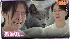 “ 몽돌아... ” 맡아줬던 고양이를 돌려주는 송옥숙 | KBS 241010 방송