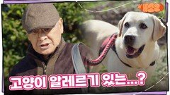 “ 고양이 알레르기 있는... ” 고양이 말을 알아들을 수 있는 강아지를 찾아 간 이순재와 소피 | KBS 241010 방송