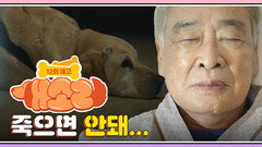 [12화 예고] 이순재 기다려 죽으면 안돼... | KBS 방송