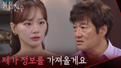 “ 제가 정보를 가져올게요 ” 최재성에게 기회를 달라는 천희주 [붉은 진주] | KBS 260716 방송