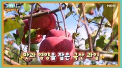 생생 정보마당 [1674회] MBN 241127 방송