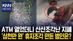 지폐 3천만 원이 산산조각…CCTV도 못 잡은 범인 정체 ′경악′ / KNN