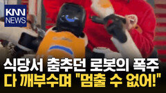춤추던 귀여운 로봇 ′급돌변′? 접시 와장창 깨더니 난동 ′혼란′ / KNN