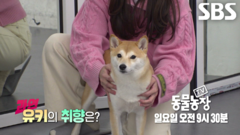 ‘미남 탐지견’ 유키, 잘생긴 사람 보면 쉬그널 발사하는 진정한 남미개!