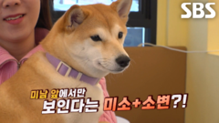 유키, 미남에게만 보여주는 행복한 미소 뒤 옐로우라이트↗