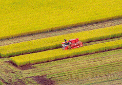 쌀 곡창지대 야당 호남 의원들이 양곡법 개정 밀어붙이는 까닭은?
