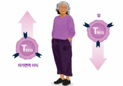 노벨생리의학상 일본인 수상자가 발견한 ‘조절T세포’