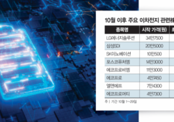 AI 데이터센터 수혜로 급등한 이차전지株