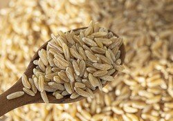 저속 노화에 좋은 곡물 식단