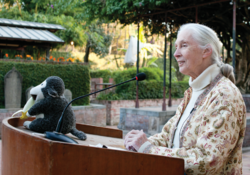 언어, 인간만의 능력 아닐 수도