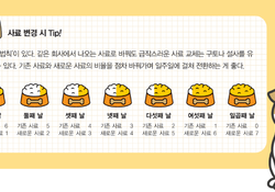 노령견이 성장기 사료 먹으면 간과 신장에 부담