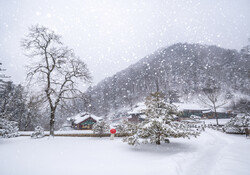 ‘겨울 여행의 진짜 가치’ 강원 정선