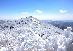 대한민국 겨울 여행의 새 기준, 강원 태백