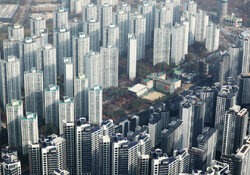 “제가 먼저 계약할게요”… 2030, 한 집 두고 ‘패닉 바잉’ 경쟁 