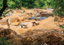 인간이 최초로 불 피운 시기, 40만 년 전으로 앞당겨졌다