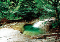 한국의 미래 밝힐 명당터 산재한 대전·충청권