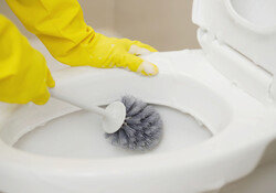 곰팡이엔 과탄산, 악취엔 워싱소다… 화학자의 화장실 청소법