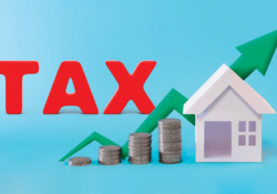 주택 보유세 올리면 집값도 뛴다