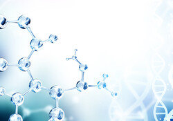 보름 만에 주가 10배 뛴 ‘비엘팜텍’ 무슨 일이?