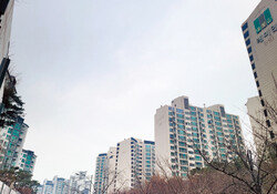 1000채 넘는 대단지 전세 매물 0건… 서울 아파트 전세난, 우려가 현실로