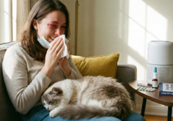 고양이 알레르기 원인은 털에 묻은 침