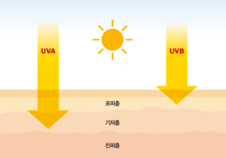 기미·주근깨 막는 가장 강력한 방패는 자외선 차단제
