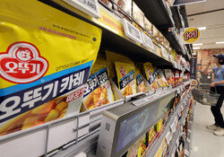 오뚜기, 카레·케첩 등 29개 품목 가격 인상… 최대 17% 올려