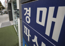 경매시장 주류로 떠오른 2030… 상반기 경매 낙찰자 3명 중 1명은 30대