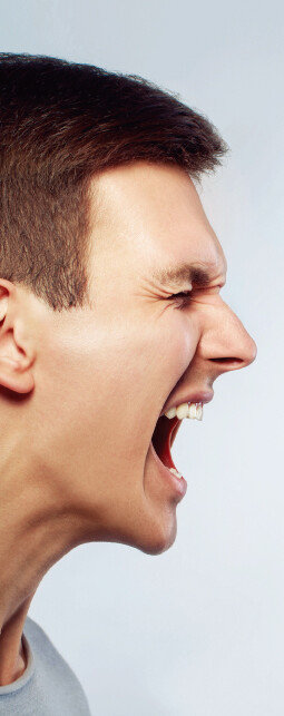 [shutterstock]