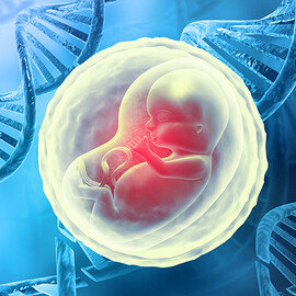 포기하지 않은 생명, 결국 역사가 된다