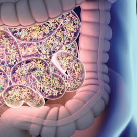 사람 몸에 사는 균의 총량은 2㎏으로 거의 일정