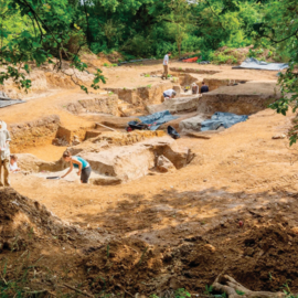 인간이 최초로 불 피운 시기, 40만 년 전으로 앞당겨졌다