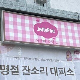 Z세대가 무한 클릭한 SNS 게시 글