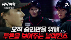 [#야구여왕 다음이야기] ＂이기러 가자!＂ 누구보다 간절하고 치열했던 블랙퀸즈의 101일간의 여정, 그 마지막 이야기