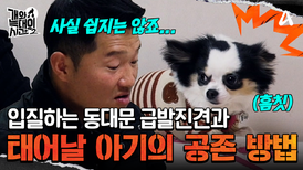 입질하는 강아지와 아기, 어떻게 공존해야 좋을까요?