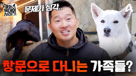 [9회 예고] 대대손손 혈통 있는 순종 진돗개! 하지만 늑대의 허락 없이 집에 들어갈 수 없다?!