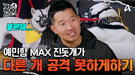 알고보니 겁이 많은 성격인 늑대 3호? 다른 개를 공격하지 않게 하는 법!