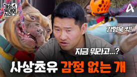 [10회 예고] 광란의 보호자 감금견 등장