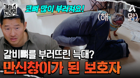 뭔가 물어야 진정이 되는 개?! 입마개를 착용하면 나아질까?