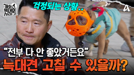 그냥 물고 싶어서 물었다? 강형욱 훈련사가 바라본 늑대견