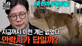 "이렇게 함께 살 순 없어요" 충격적인 얘기를 꺼낸 강형욱 훈련사
